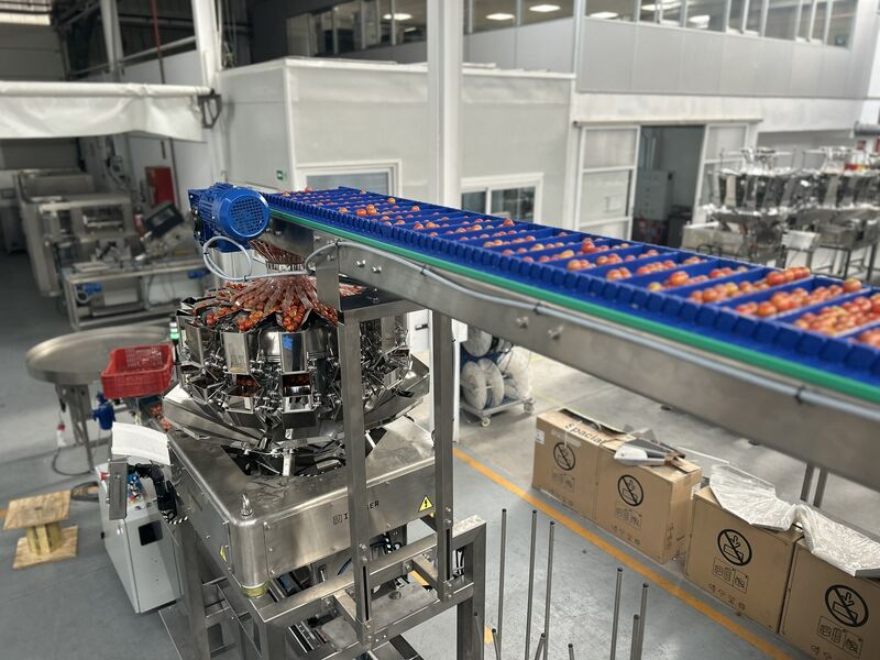Podawanie produktu do linii ważenia INDUSER